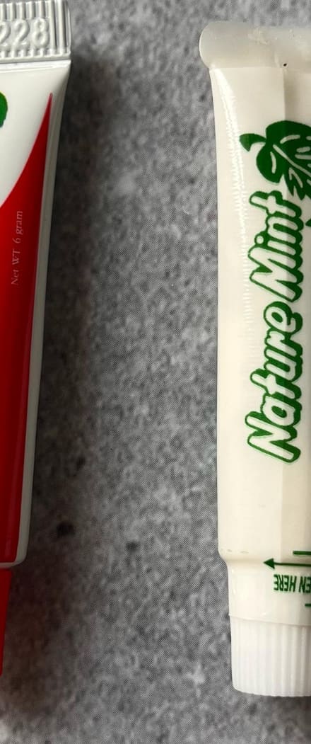 Mint Micro Toothpaste